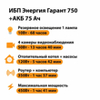 ИБП для котла Энергия Гарант 750 + Аккумулятор 75 Ач 12 В (450Вт - 91мин) - ИБП и АКБ - ИБП для котлов - . Магазин оборудования для автономного и резервного электропитания Ekosolar.ru в Наро-фоминске